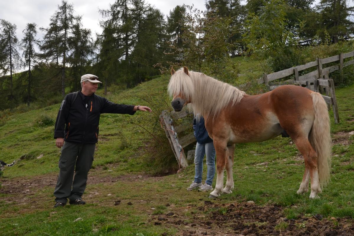 Zunerhof 01.10.2015